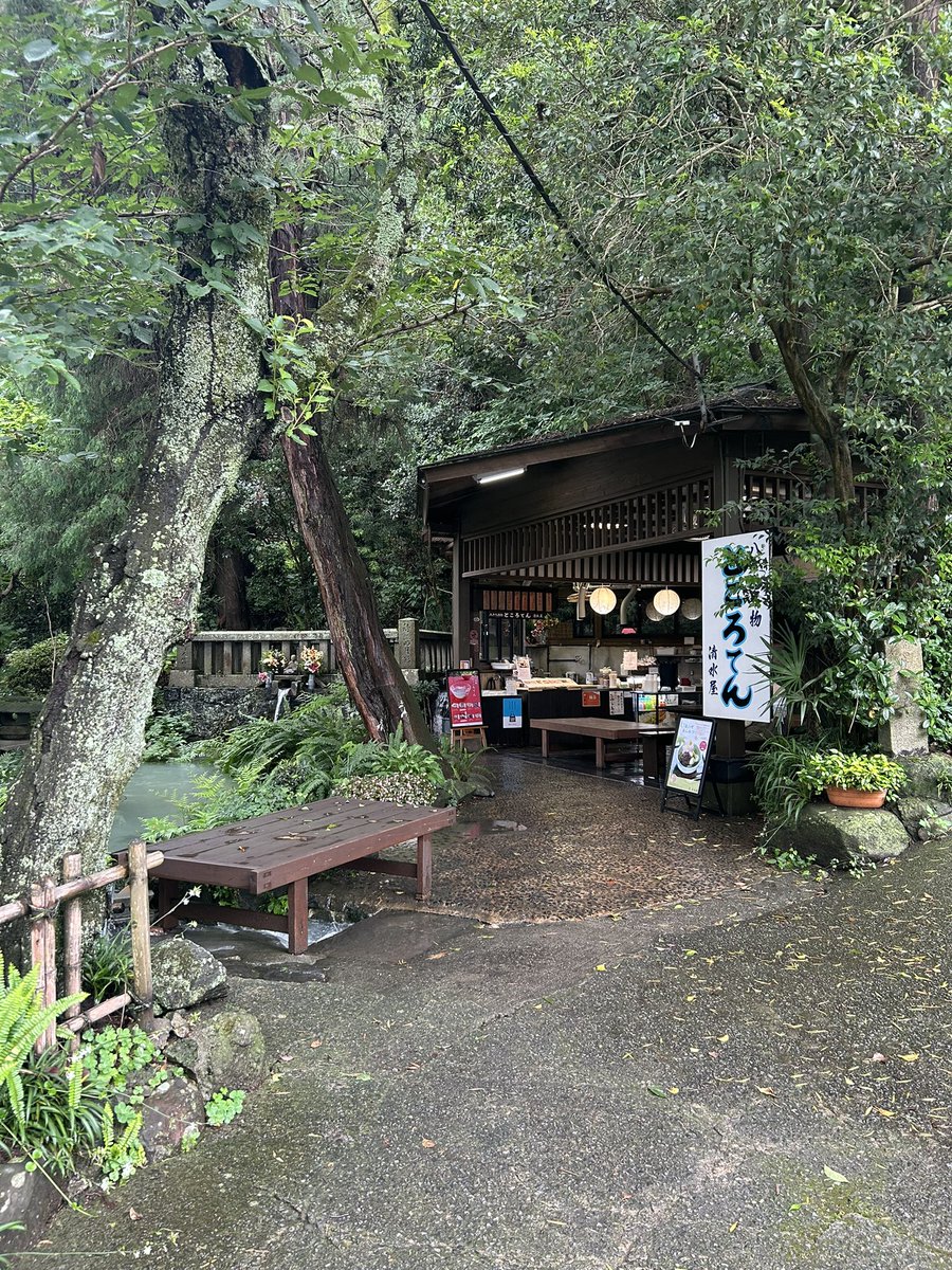 209l166's tweet photo. ところてん https://t.co/0sdmeS3XZX