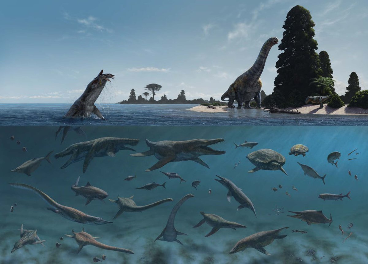 IPaleoPAN's tweet photo. Giant predators in a tropical Cretaceous sea 🦈🙂
https://t.co/hymggCl7lN
#geologia #paleontologia #paleontology #paleobiologia #paleobiology https://t.co/jdAzbRLyZc