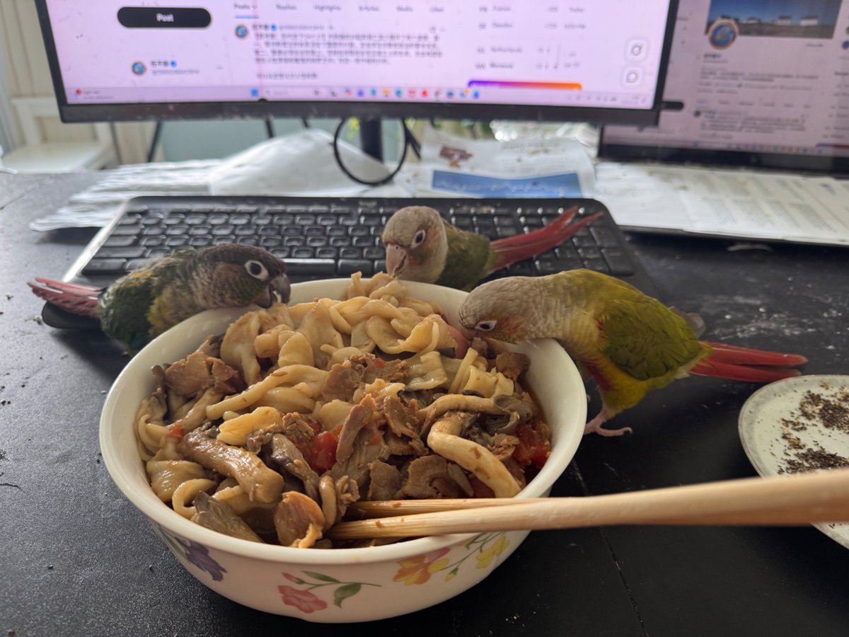 任不寐 tweet media