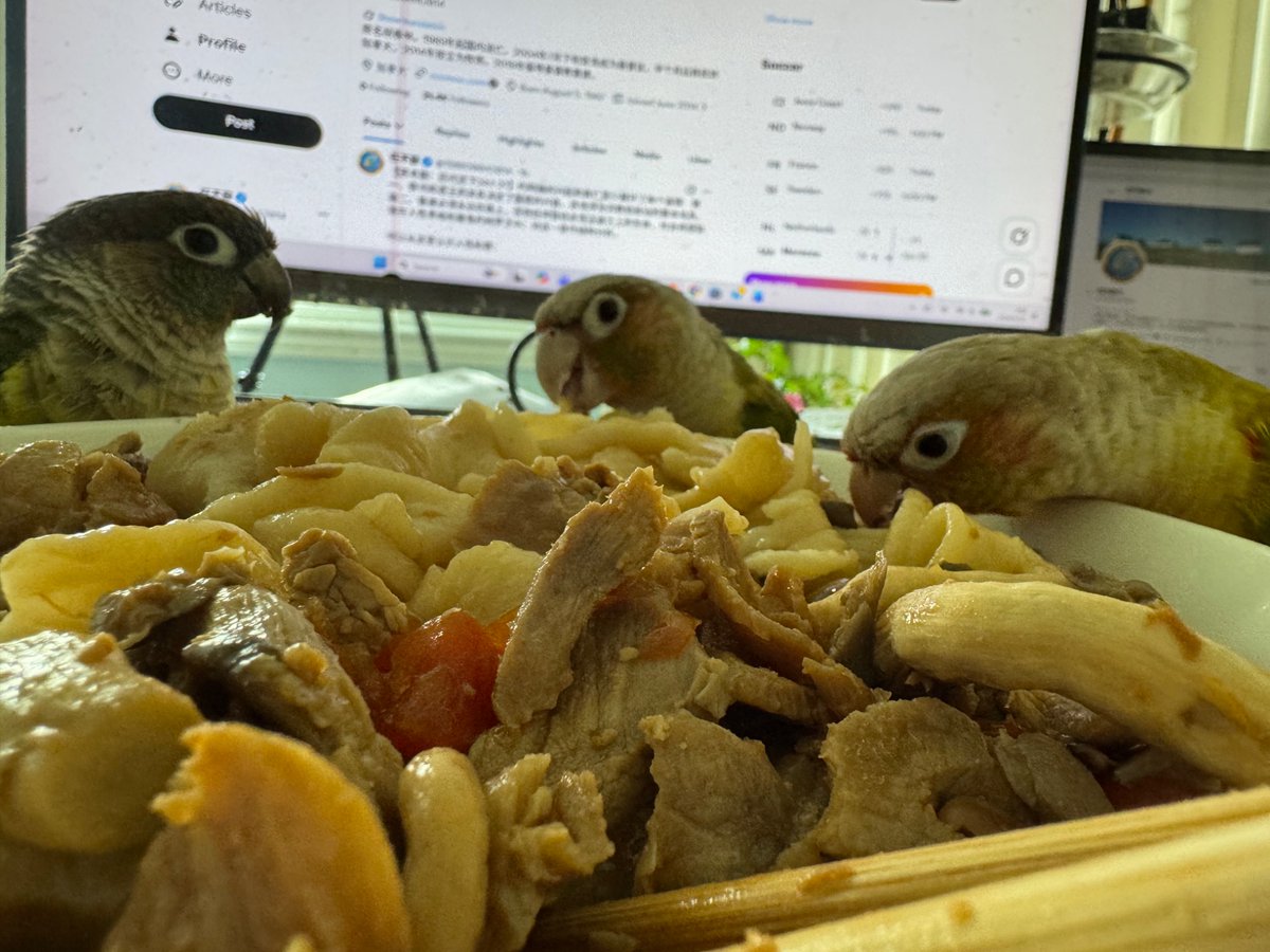 任不寐 tweet media