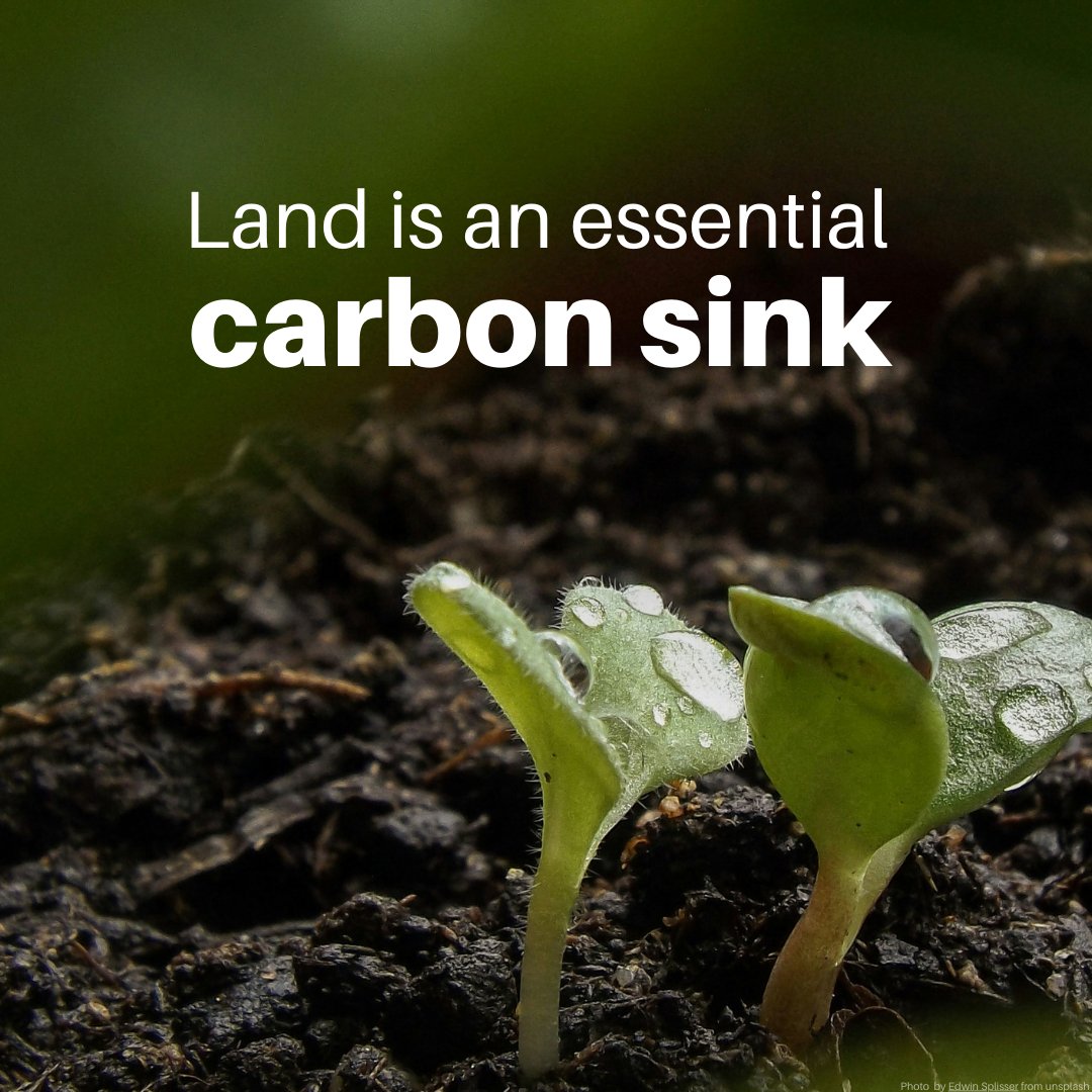 UNEP's tweet photo. From mountains and hills to plateaus and plains, land is life.

It provides oxygen and acts as an essential carbon sink that regulates the planet's temperature and absorbs its carbon emissions.

Yet unsustainable use is putting these vital ecosystems at risk.

See what can be done: https://t.co/GJmUICiPBI