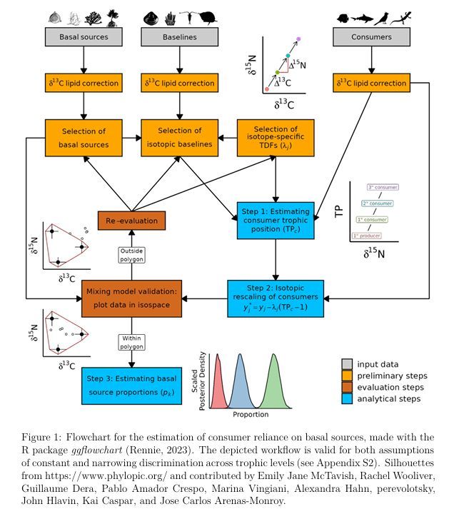 ecoevorxiv's tweet photo. Best analytical practices for estimating consumer reliance on basal food sources using bulk stable isotopes 
https://t.co/zBmCA9C4Yb https://t.co/2xT3YFyDMV