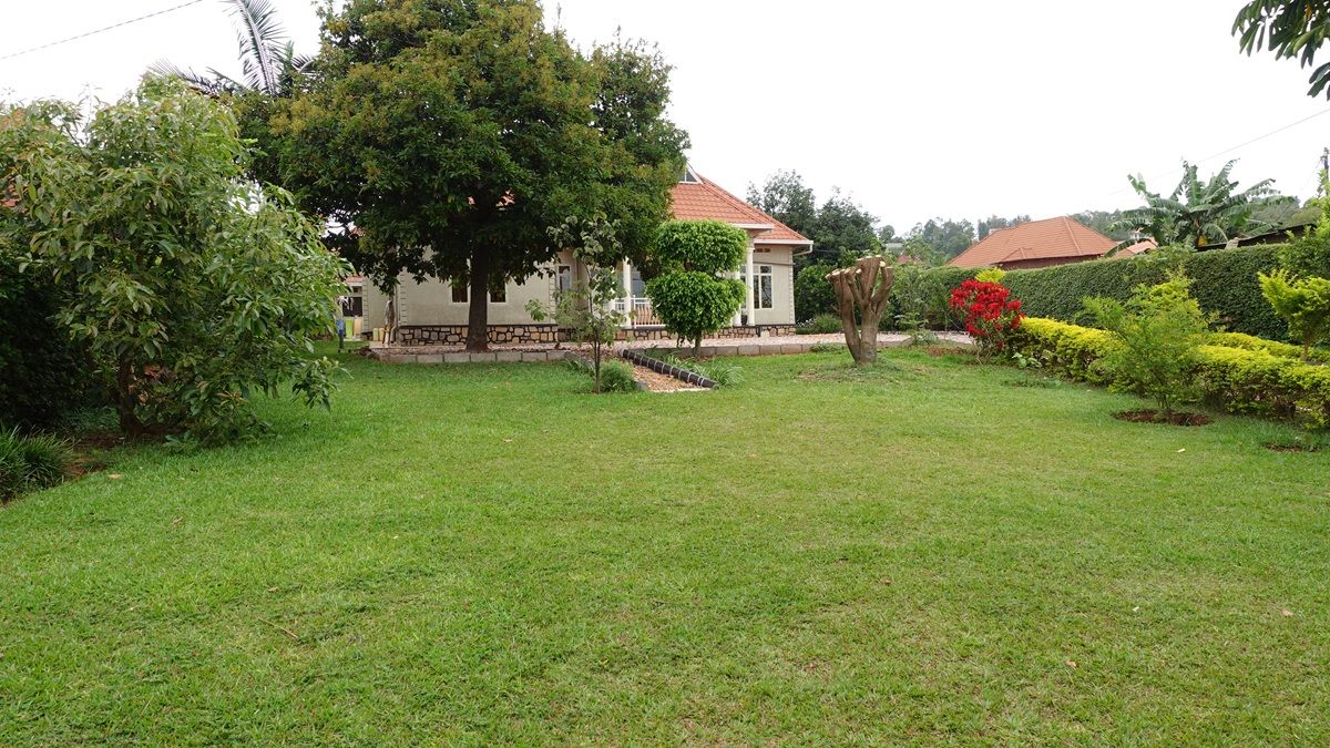 HouseInRwanda's tweet photo. 🏠Fully Furnished House for Rent in a Spacious Natural Compound🆕

💰Price:1,900,000 Rwf /month
🛏️Bedrooms:5
🛀Bathrooms:3
✅Furnished: Yes
🅿️Parking
For more details 👇
https://t.co/b6X9laGfE3

Contact name:👨‍💼Lambert

#kigali #house #rent #houseinrwanda https://t.co/Yhy2fZSLpa