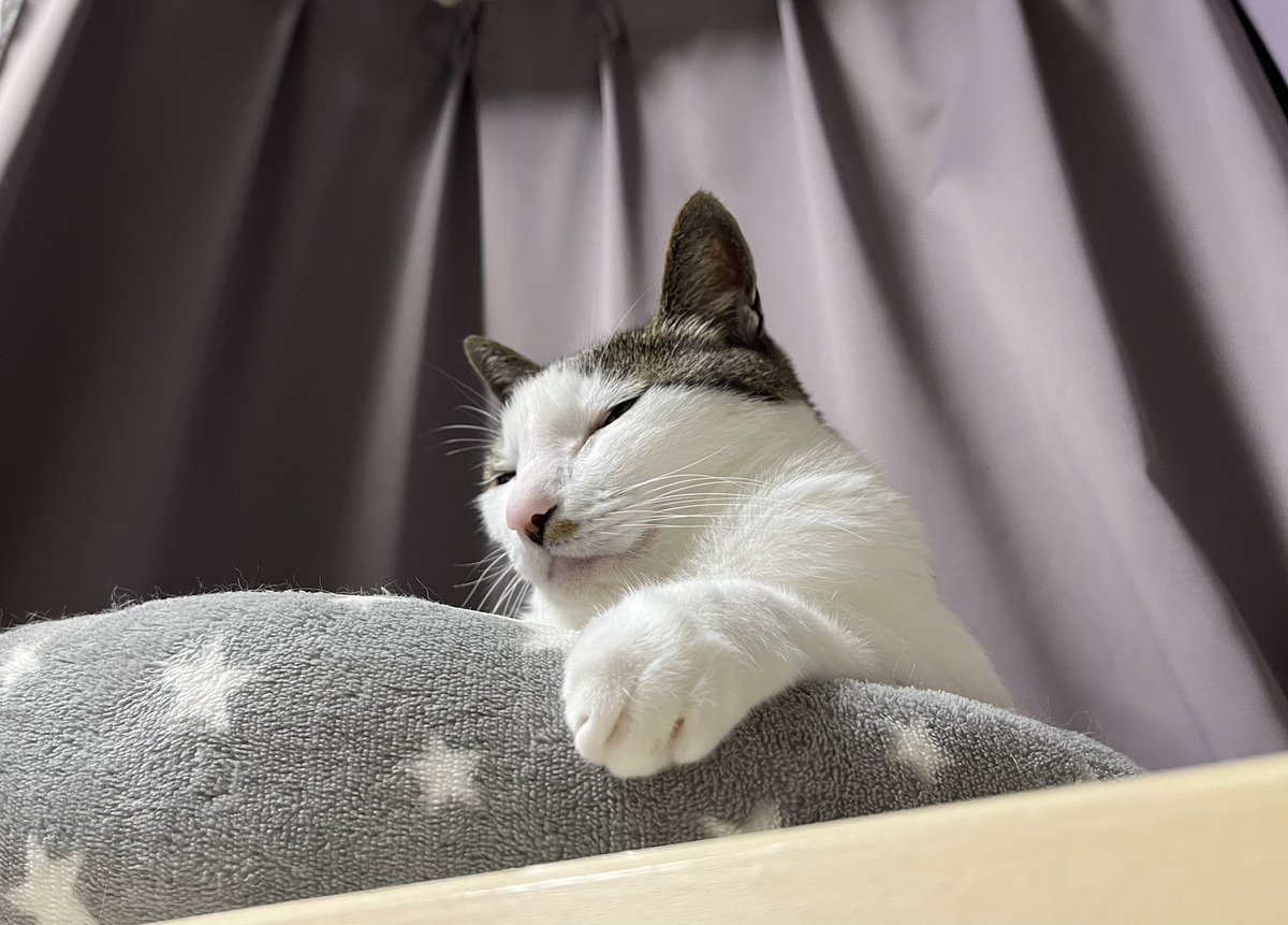 🥁たけ🐈⬛ tweet media