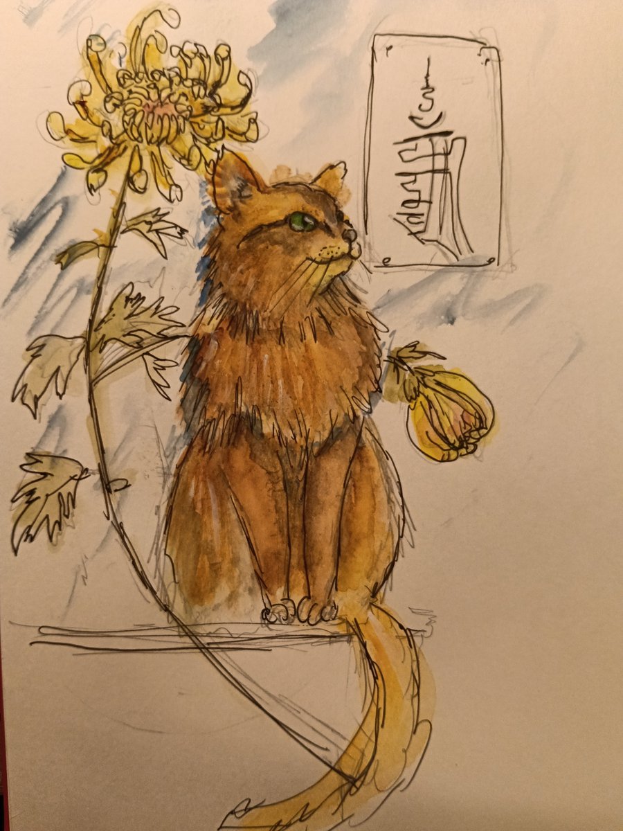 猫様 お猫様かわいい！ もふもふしたくなりました☆