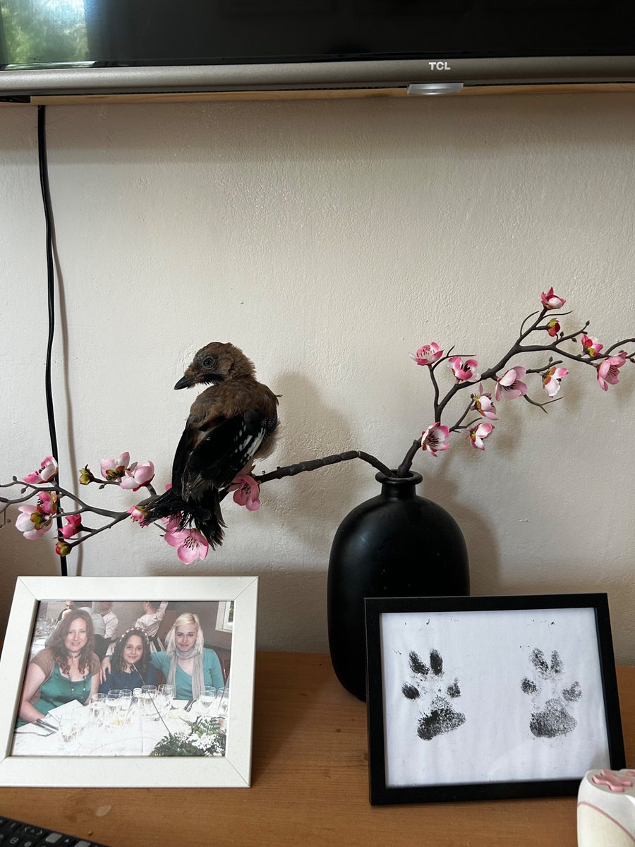 anyma45's tweet photo. Se cree que es una pintura japonesa 🌸⛩️ https://t.co/b9wcNOG2LD
