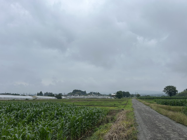 Gunma_Space's tweet photo. 2026年6月30日 – 本日・今朝の赤城山 – 今日も群馬県前橋市より発信。今朝も曇天梅雨なお空。今日も赤城山は雲の中です。曇り時々晴れのち雷雨 30℃/21℃ 今朝も涼やかで快適なお散歩タイムでした。
https://t.co/KN28e99Txe https://t.co/QAXfMwwb1l