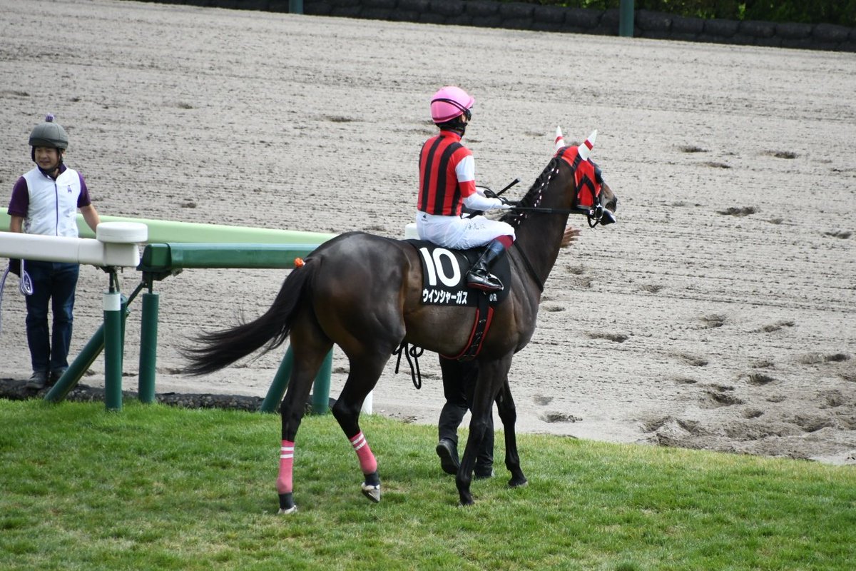 hato_8635's tweet photo. 6/28 函館10R 渡島特別 ダ1700m
ウインシャーガス×鮫島克駿騎手 https://t.co/EJJaav5XWc