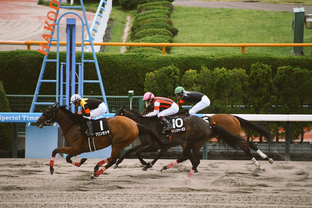 hato_8635's tweet photo. 6/28 函館10R 渡島特別 ダ1700m
ウインシャーガス×鮫島克駿騎手 https://t.co/EJJaav5XWc