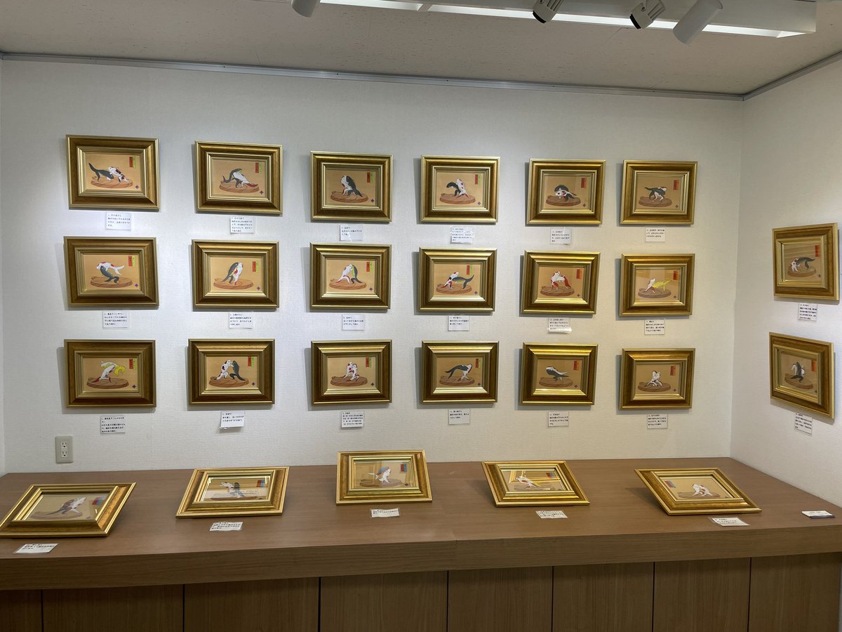 wokashinoie2's tweet photo. 本日上野松坂屋アートギャラリーに個展の搬入をしてきました。

48点あった「どす鯉四十八手」のシリーズもお手伝いただいたギャラリーの方々のおかげで無事に全て飾りつけることができました。 https://t.co/BOSVJakUFk