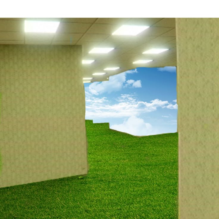 Liminal Dreams tweet media