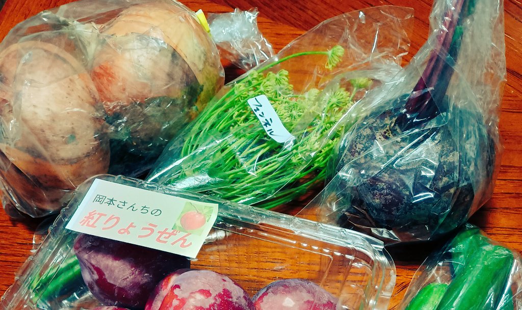 irechan4513's tweet photo. 「私はフェンネルを、自分のものにする。」

過去の私が、SNSのリプライでそんなことを豪語していました😂

 あの頃、ただのハーブ飴の原料だったはずのフェンネルが、今では我が家の主役として香り、私の日常を根底から変えてくれています。

このポストを書いていた頃の私に教えてあげたい。
「数ヶ月後、あなたは本物のフェンネルと暮らし、星読みとハーブで自分の心身を整える楽しさに目覚めているよ！」と。

当時、知識として追いかけていた「茴香（フェンネル）」が、今や私の感性の「道しるべ」です。

 あの時、ただの好奇心で調べていたことは、決して無駄じゃなかった。 
自分のセンサーを信じて突き進んでいたら、バラバラだった点と点が、今こうして鮮やかな線になって繋がりました。

あの頃の私🤭やっぱり分かってたね！ 
その好奇心、大正解よ。🪻🥀🌿

#原点回帰 #フェンネル #運命の伏線 #学びの記録 #星読み #innatetherapy #引き寄せ #過去の自分への手紙