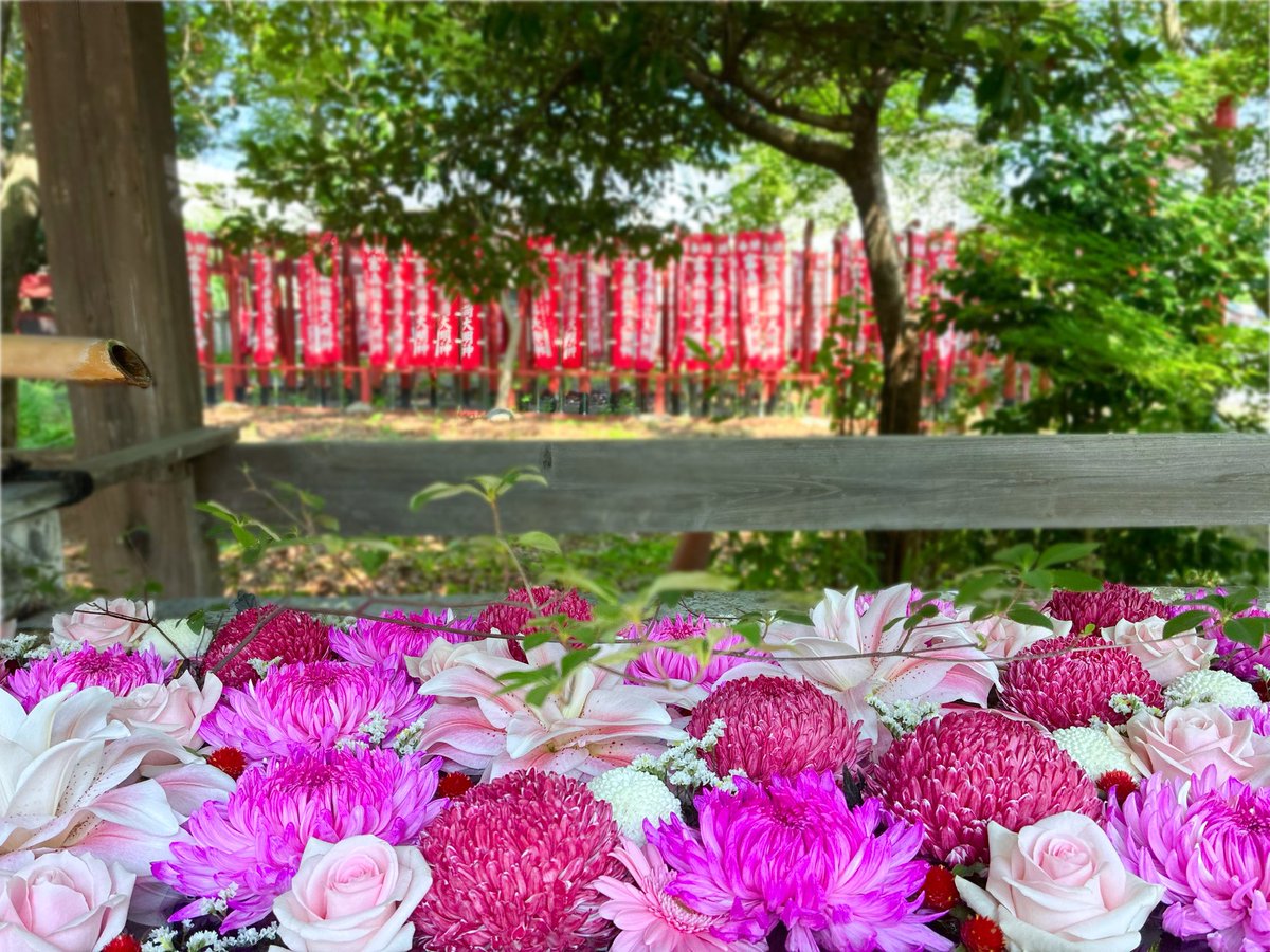 au_grandslam's tweet photo. 2026年も早、半分過ぎました。という訳で夏越の大祓。
当地では、こし餡を包んだ団子を赤味噌につけて焼いた「みそぎ団子」なる食べ物をいただく風習があります。
下半期も何事も起こらぬよう…🙏 https://t.co/tenahRDQ2u