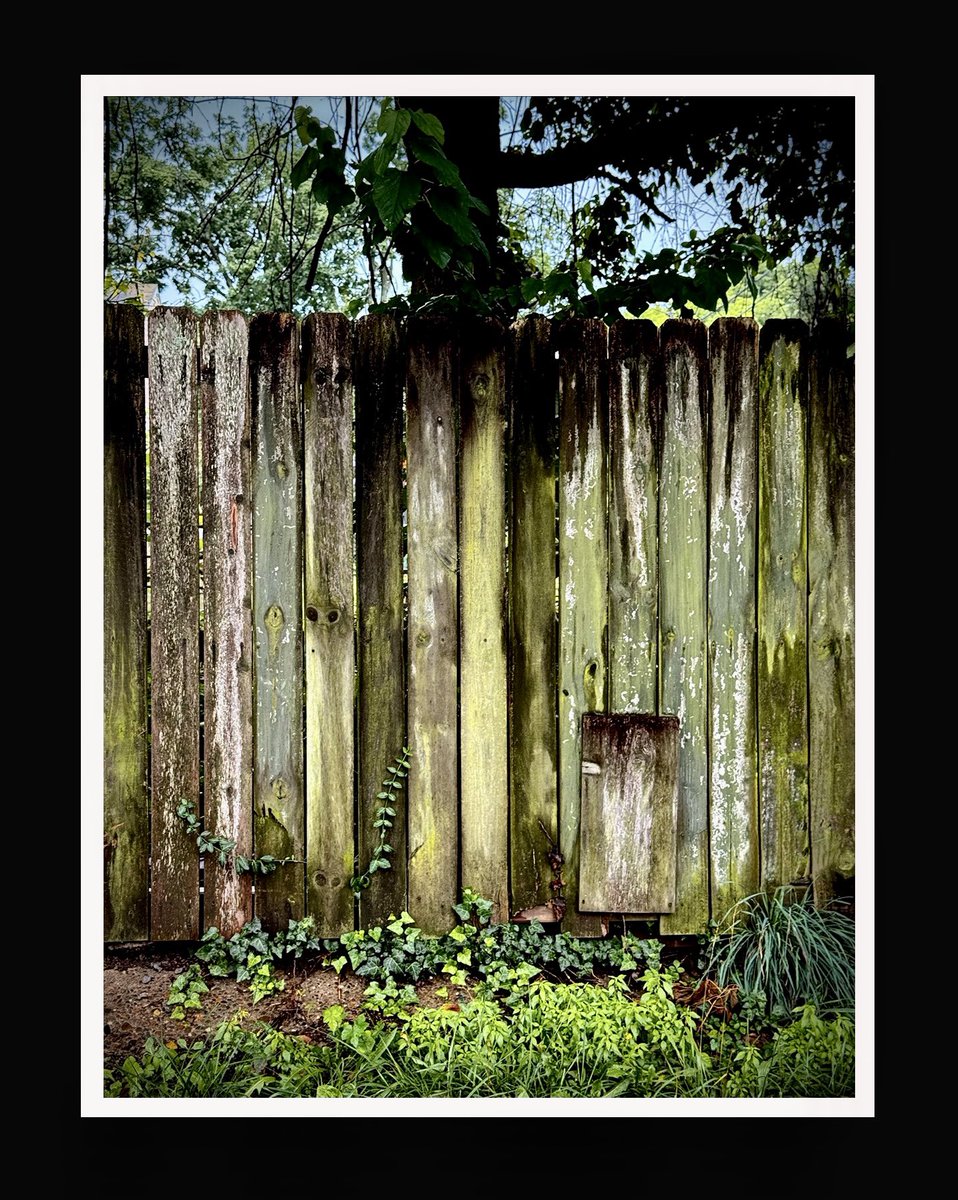 DanDry79943's tweet photo. Today’s Found ART shot on my IPhone in #louisvillekentucky #ageinggracefully #hiddenspace #pictureperfect #todaysfoundartshotonmyiphone https://t.co/OokdPaaR6L