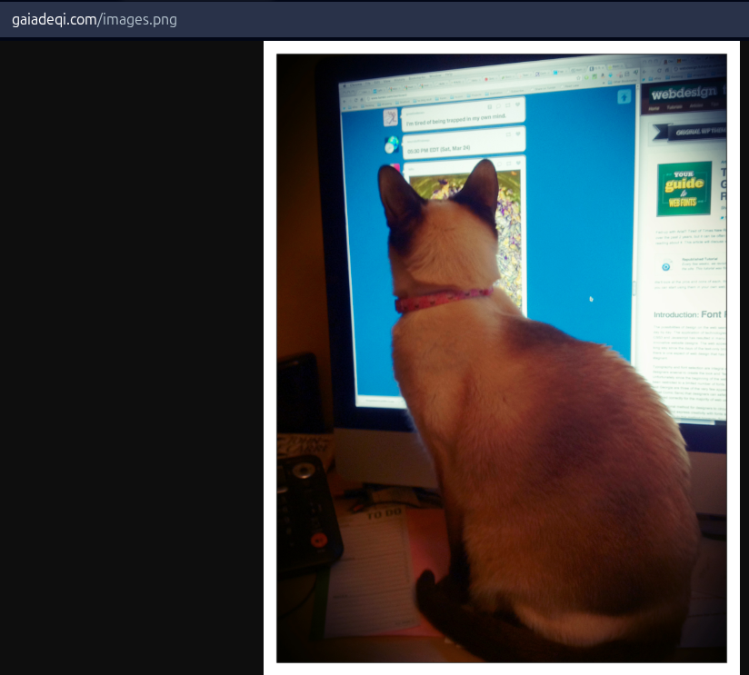James_inthe_box's tweet photo. Careful with those #cat pics @vxunderground ..might get something more exciting ;) (#stego #purelogsstealer)
https://t.co/G4Nn7mcLhl
Honestly using cat pics in malware seems rude. https://t.co/v819lrtVYO