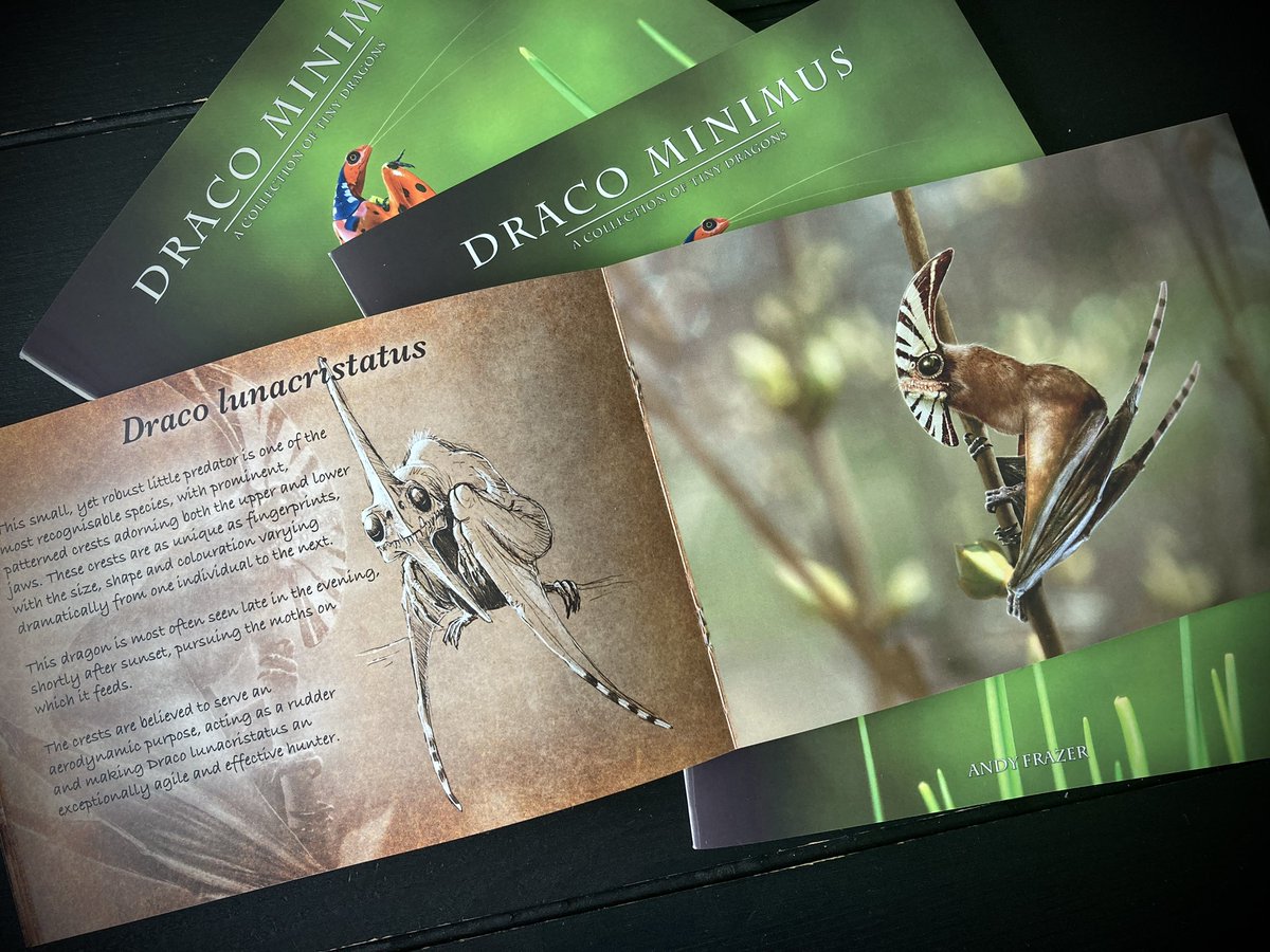 DragonsofWales's tweet photo. Do like massive, terrifying fire-breathing dragons?
Sorry, I can’t help you.
But I have got books full of these little goobers. 
Details in the usual places. https://t.co/wlyFixYnc9