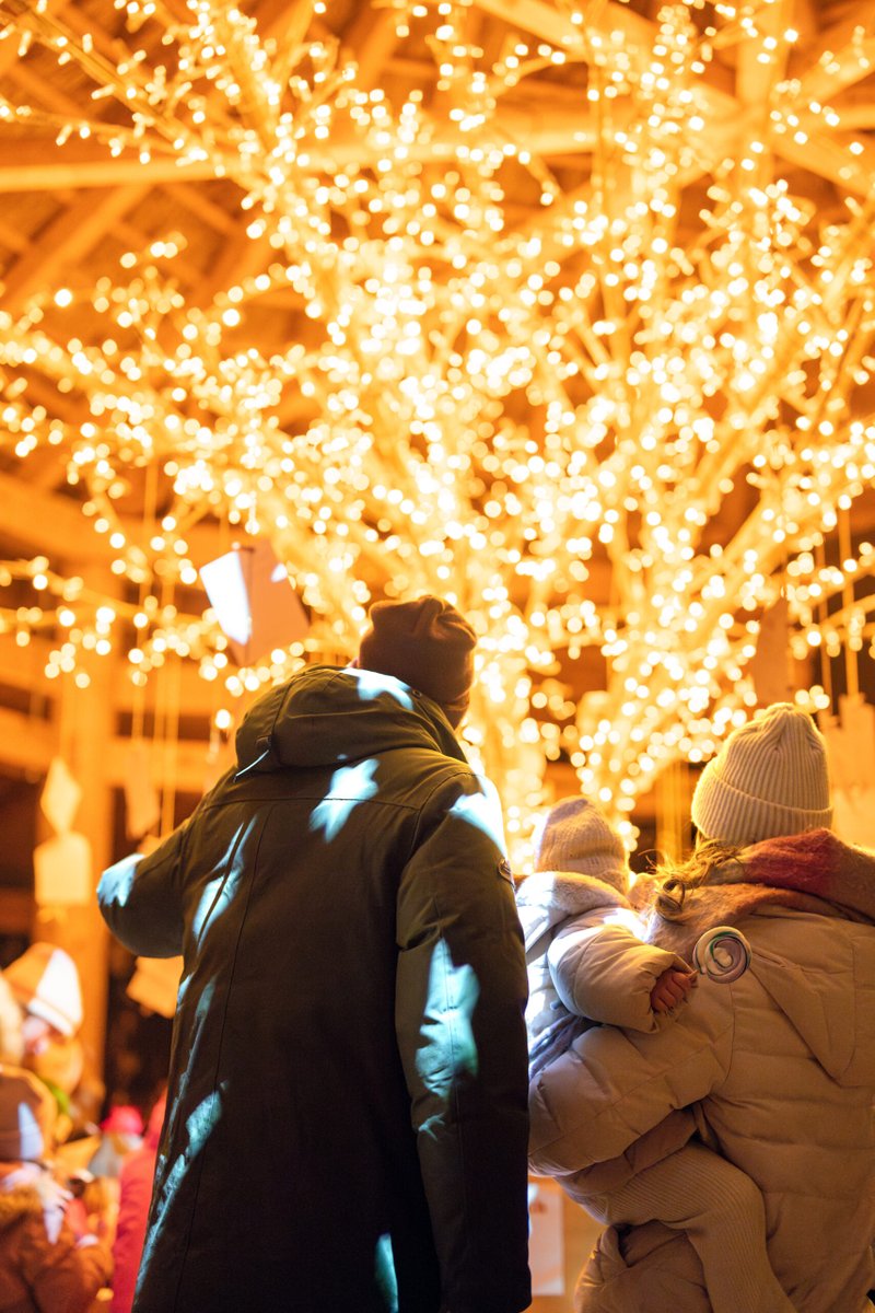 blachereuk's tweet photo. 178 days until Christmas! 😮😁

The countdown is officially on! Now is the perfect time to secure your festive lighting and start planning a display that will wow visitors this Christmas.

Get in touch and let's bring your festive vision to life 👉 https://t.co/hGZD97GRmj https://t.co/4O9qD8r1bc