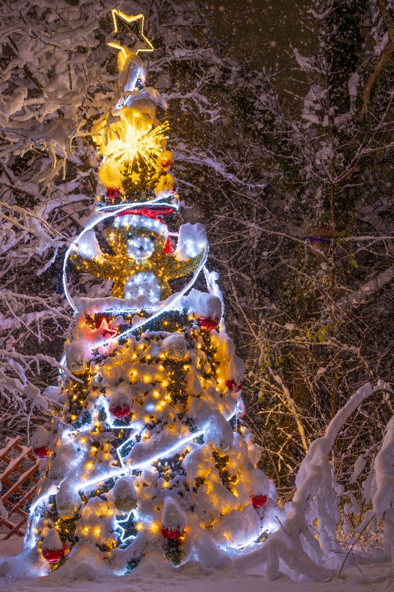 blachereuk's tweet photo. 178 days until Christmas! 😮😁

The countdown is officially on! Now is the perfect time to secure your festive lighting and start planning a display that will wow visitors this Christmas.

Get in touch and let's bring your festive vision to life 👉 https://t.co/hGZD97GRmj https://t.co/4O9qD8r1bc