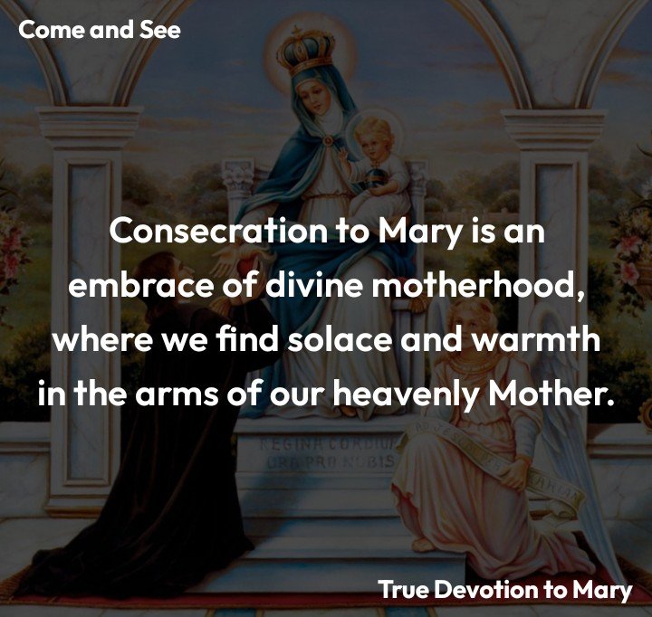 X_Catholicism's tweet photo. https://t.co/8Jg5IBcldz