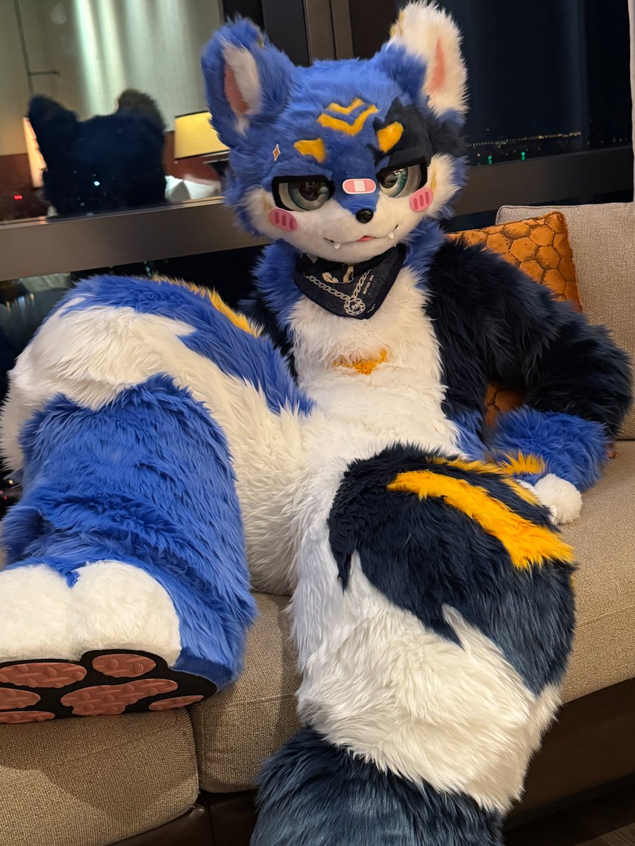 Jancake_'s tweet photo. #FursuitsEveryday https://t.co/pgzax7Zhzh