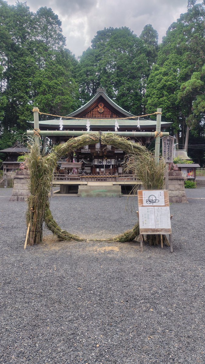 co_eye_chan's tweet photo. 裏庭で自生している梅の木。なんとなく見たら今年は梅の実が豊作！集めたら1.5キロはゆうに越えている。さてどうしよう。梅酒はこの前買った梅で漬けたとこやし、梅干しは去年作ったのがまだ残ってるし…なにしようかなあ。
１日早めの月イチのお参り。ちょうど夏越の祓（なごしのはらえ）してきました https://t.co/KmW1qFrSGn
