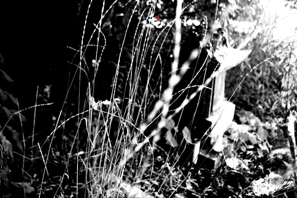 monomoth's tweet photo. やはり良い写真だと思って、ネットにあげたらダメなら夢枕にお願いします、とお祈りした所、なんか許された気がしたのでアップします
由来など気になるの��図書館に近々調べに行くかな

smc PENTAX-DA 18-55mmF3.5-5.6AL WR

PENTAX K-S2 https://t.co/4pO0fuVK0t