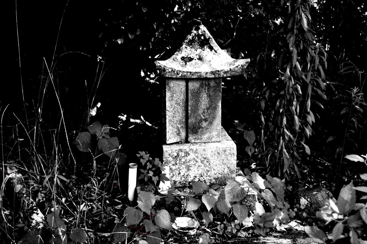 monomoth's tweet photo. やはり良い写真だと思って、ネットにあげたらダメなら夢枕にお願いします、とお祈りした所、なんか許された気がしたのでアップします
由来など気になるの��図書館に近々調べに行くかな

smc PENTAX-DA 18-55mmF3.5-5.6AL WR

PENTAX K-S2 https://t.co/4pO0fuVK0t