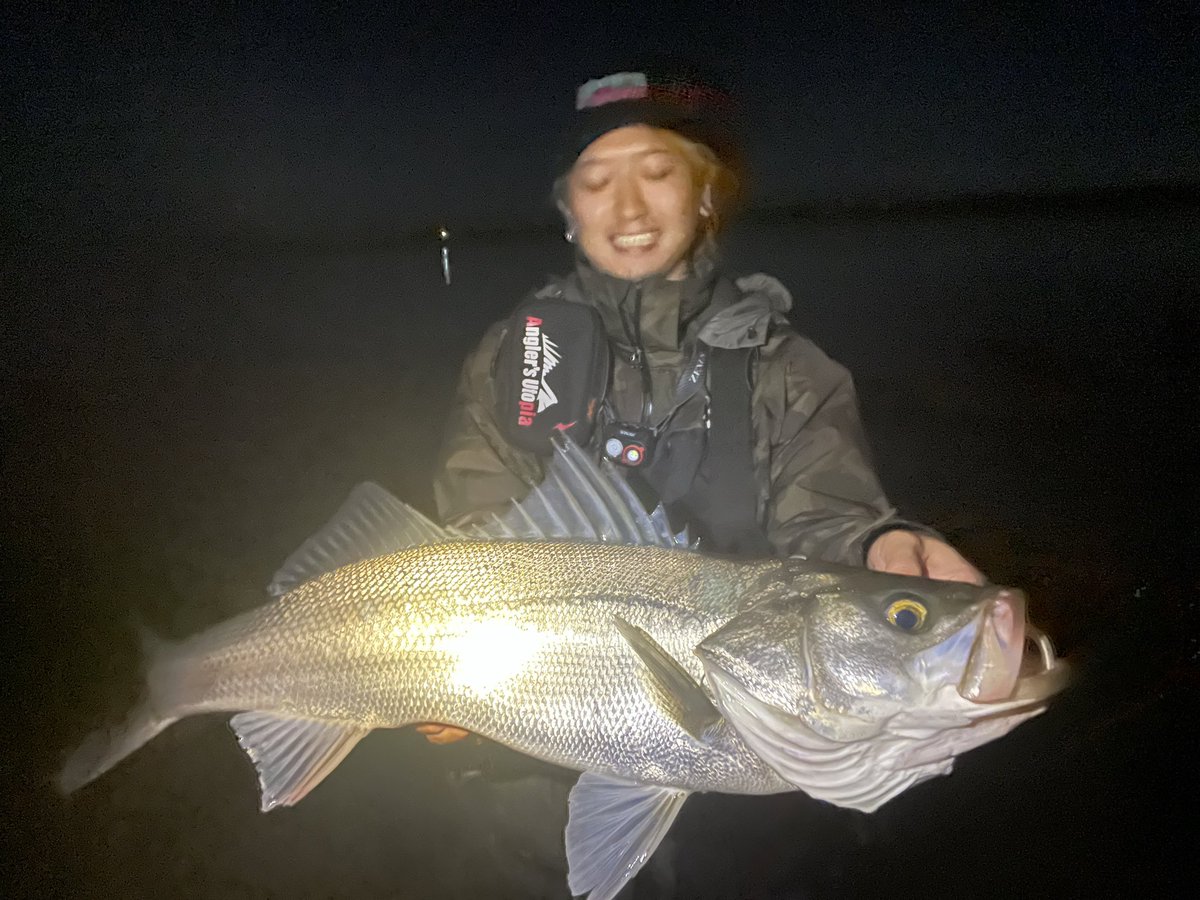 kimnyfishing's tweet photo. 月末棚卸し🐟 https://t.co/5Iu1g5HD2s