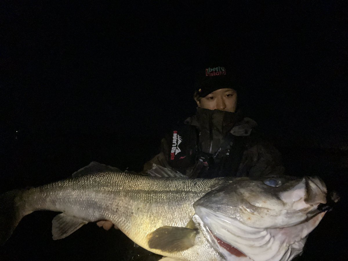 kimnyfishing's tweet photo. 月末棚卸し🐟 https://t.co/5Iu1g5HD2s