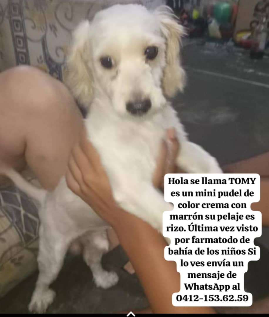 yaracalcagno's tweet photo. Atención Zona Farmatodo Bahía de los niños. Se busca. https://t.co/m3wDHUsBfI