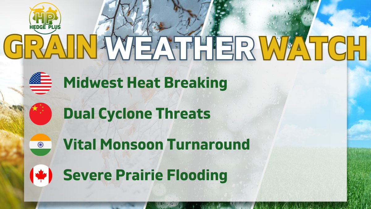HedgePlusWI's tweet photo. Incoming rain brings timely relief to U.S. crops as does a reviving monsoon season in India. Meanwhile severe flooding halts Canadian prairie progress as China prepares for dual cyclones set to disrupt corn and soybean planting in central and eastern regions https://t.co/xuyFTxPixa