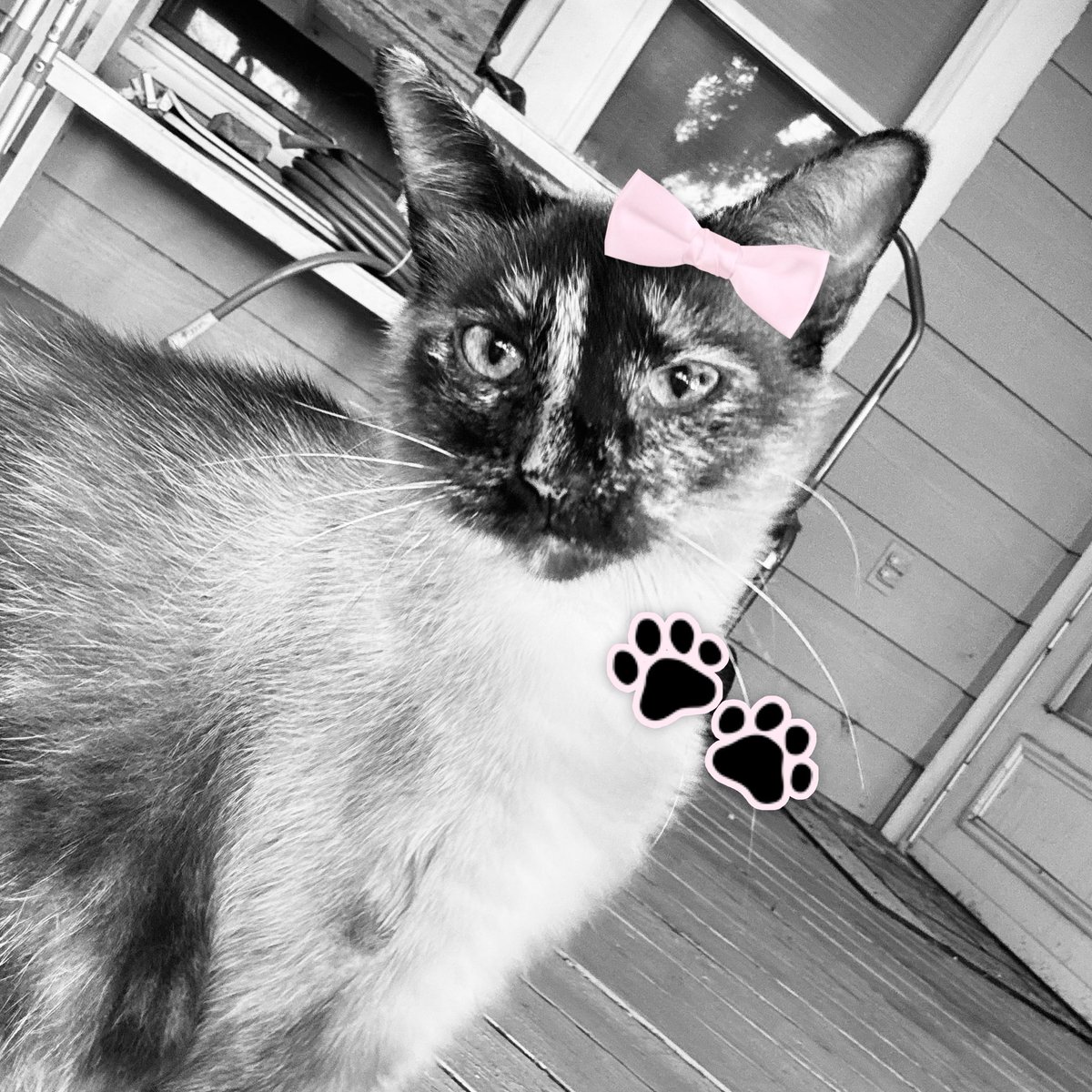 ꒰ minnie ꒱ྀི tweet media