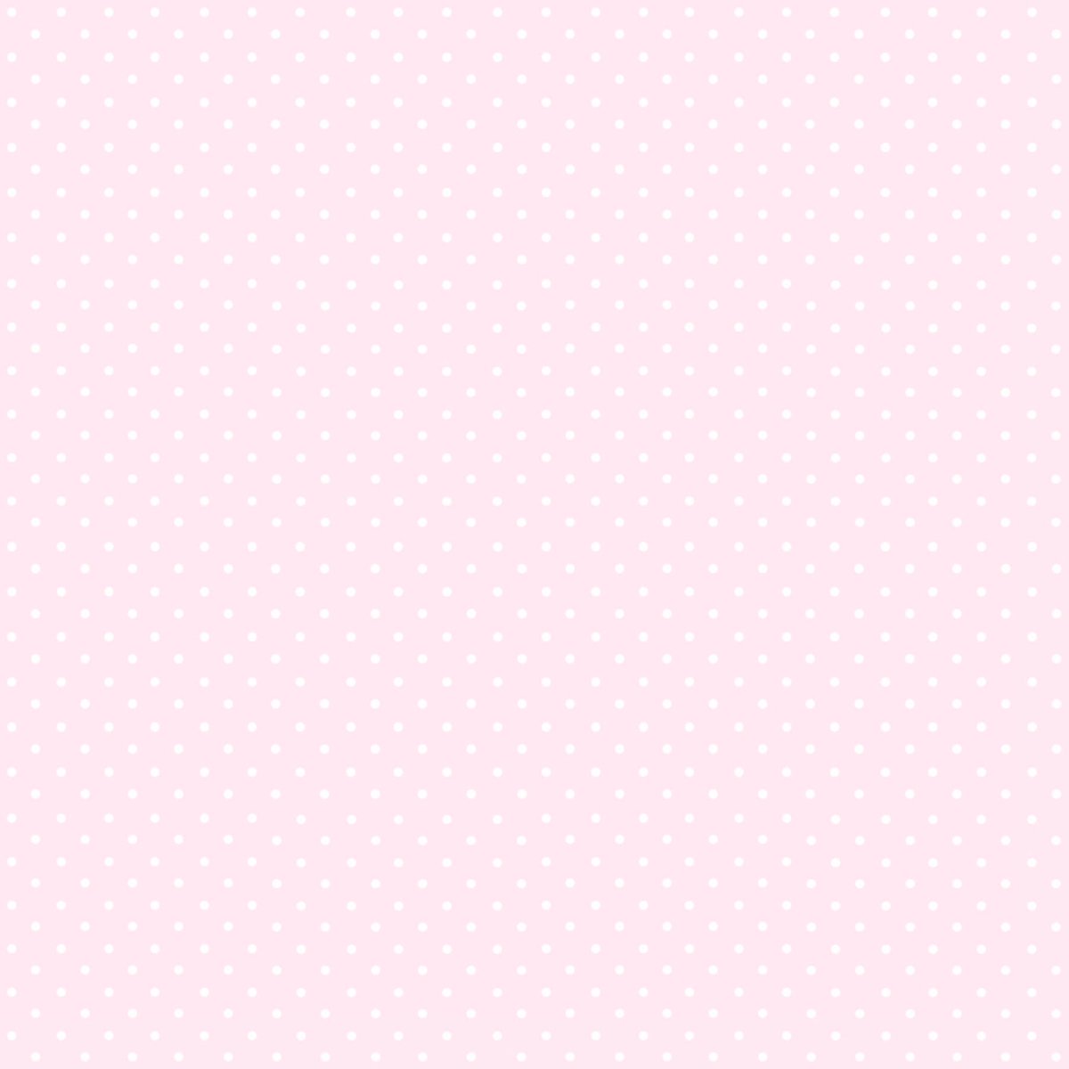 ꒰ minnie ꒱ྀི tweet media