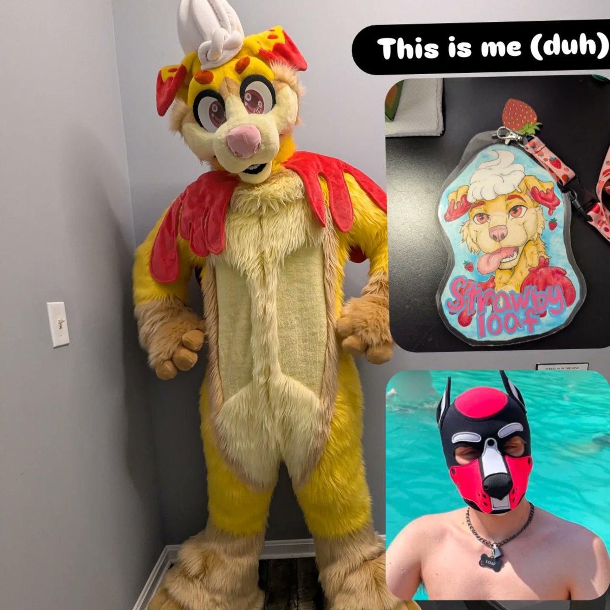 StrawbyLoaf's tweet photo. See you fluffbutts at AC this year ! https://t.co/wxSNcSOxYh