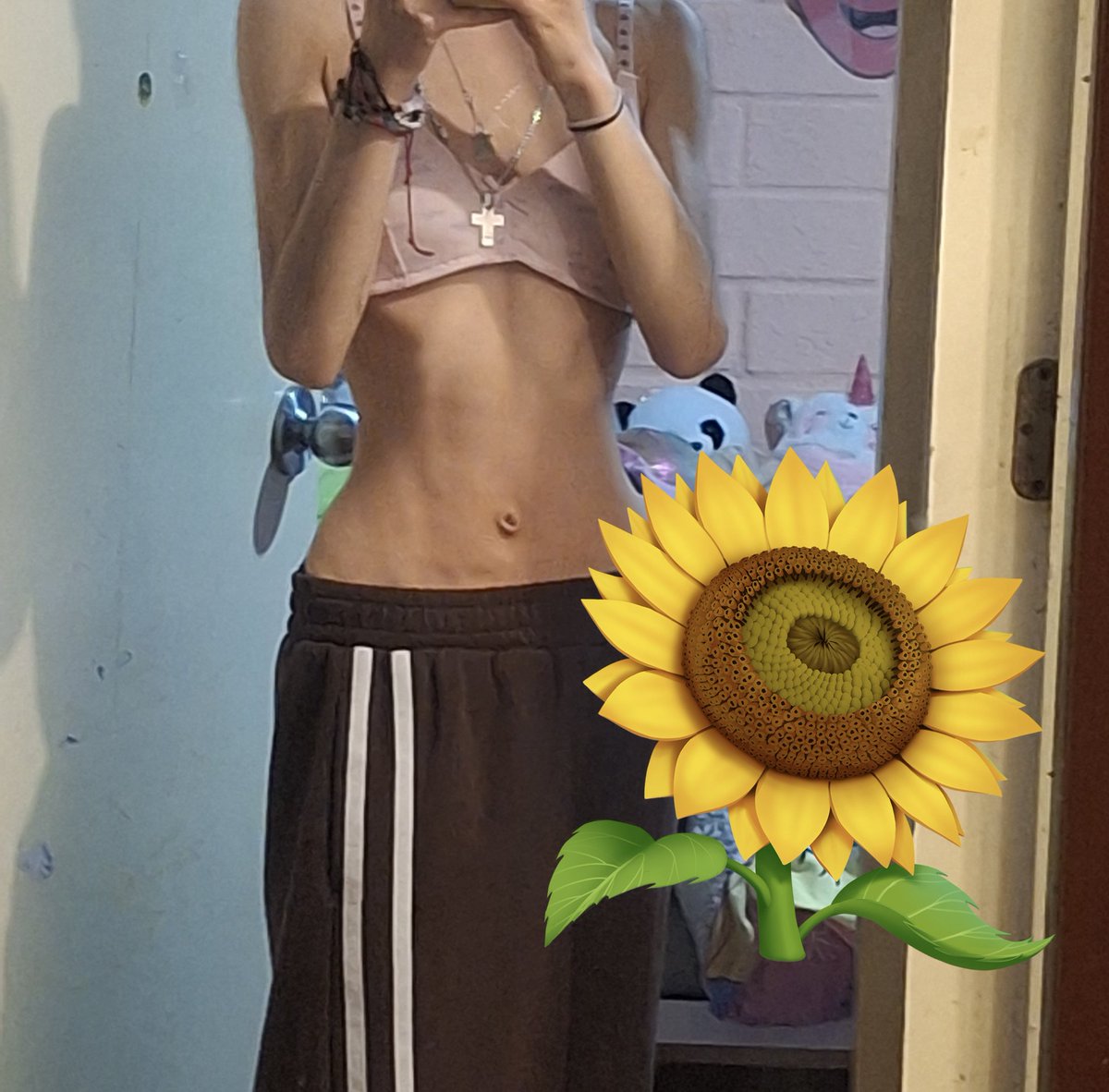 nanaunicn's tweet photo. Body check🐱 https://t.co/Au3ntGoWOd