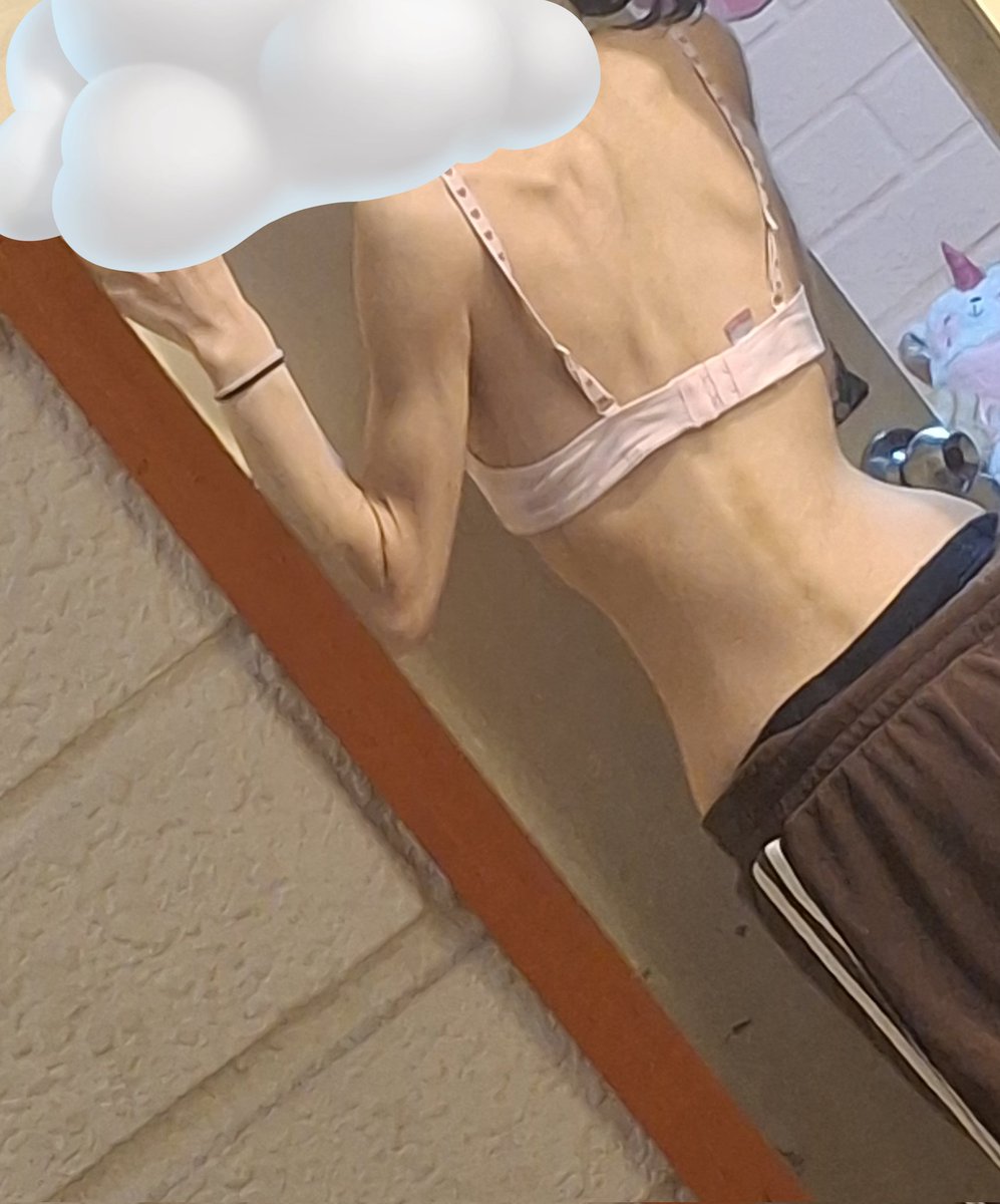 nanaunicn's tweet photo. Body check🐱 https://t.co/Au3ntGoWOd