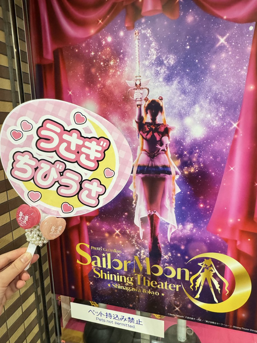 nob__115's tweet photo. 🌙セーラームーン🐰うさぎちゃん
🩷セーラーちびムーン🐰ちびうさちゃん

お誕生日おめでとう🎂😆

今年はSTSTでお祝い🎉 https://t.co/qyD9wJG857