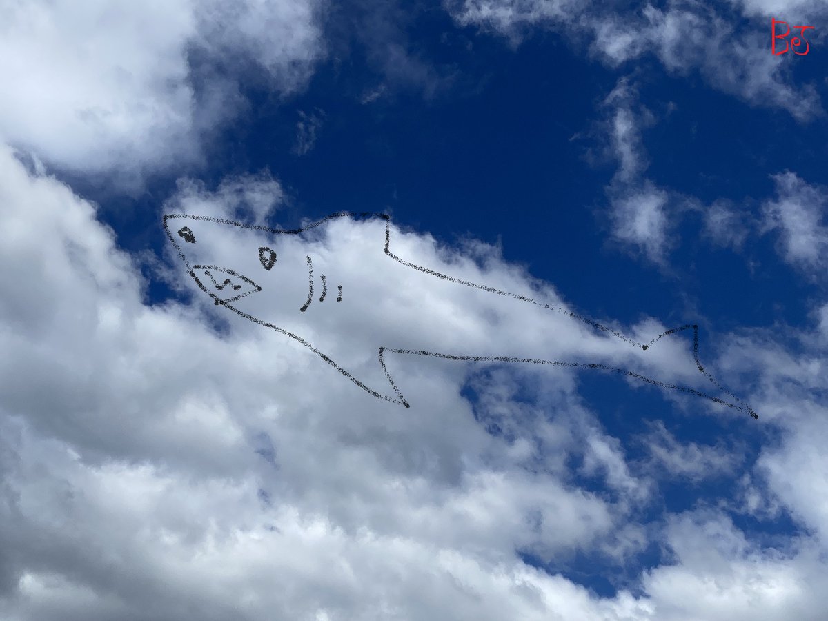 aba369chan's tweet photo. 1091　サメ | この雲は何に見えますか？ https://t.co/BWQ66TcNOd #Amebaブログ #アメブロ 
ブログを更新しました😊
今回のタイトルは「サメ」です。
#雲  #空  #イラスト  #サメ https://t.co/35wrTN8gGi
