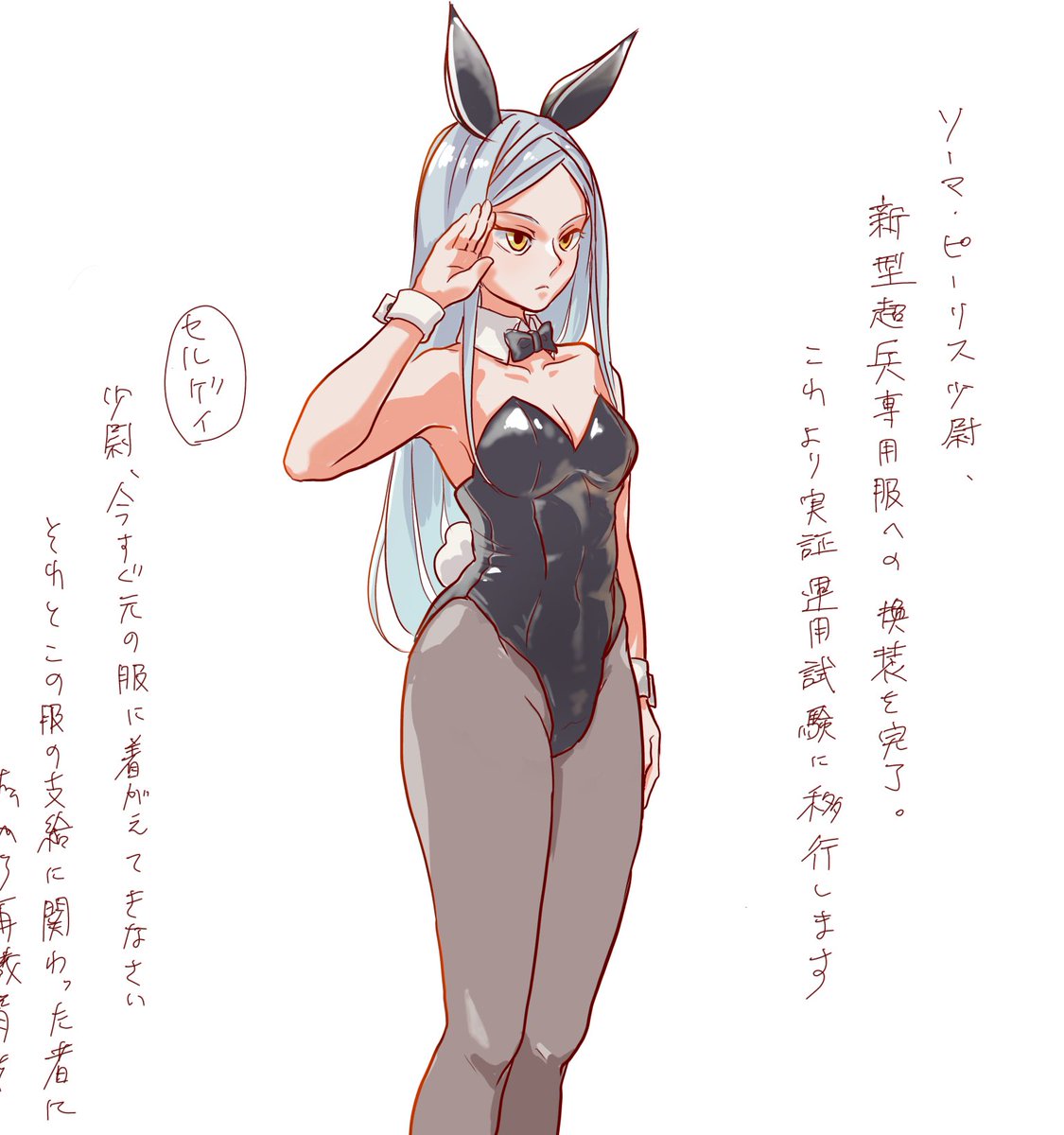 kakeryu_jojo's tweet photo. 足捌きには優れるが、防御力に欠けます、中佐！ https://t.co/npnp9kn4Xk