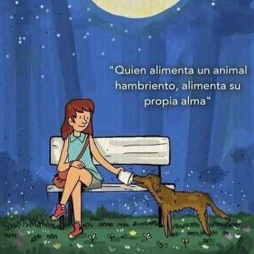 rey_latino33087's tweet photo. https://t.co/OELs5lNEjb