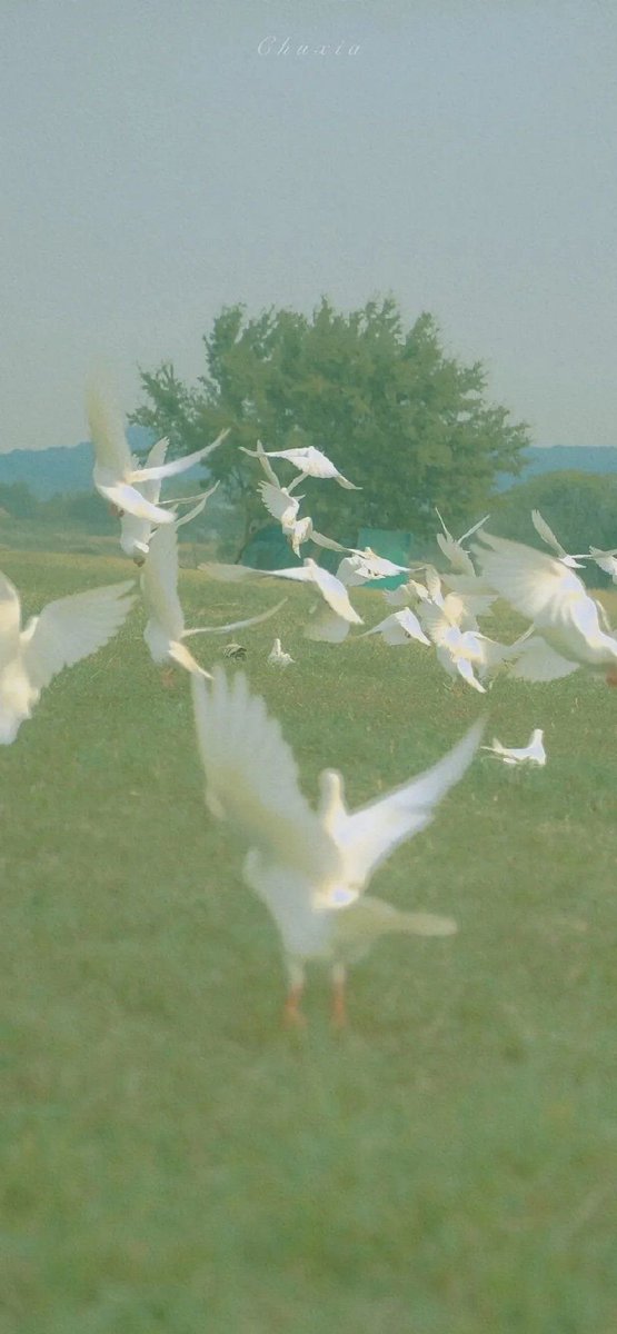ruth70044563340's tweet photo. A new day is a fresh start and an opportunity to get one step closer to your dreams Don be afraid if the path ahead seems unclear as long as you keep flying the wind will become your wings
#GoodMorning #LifeInTheSunshine #RelaxedVibe https://t.co/2AlHE8jwdO