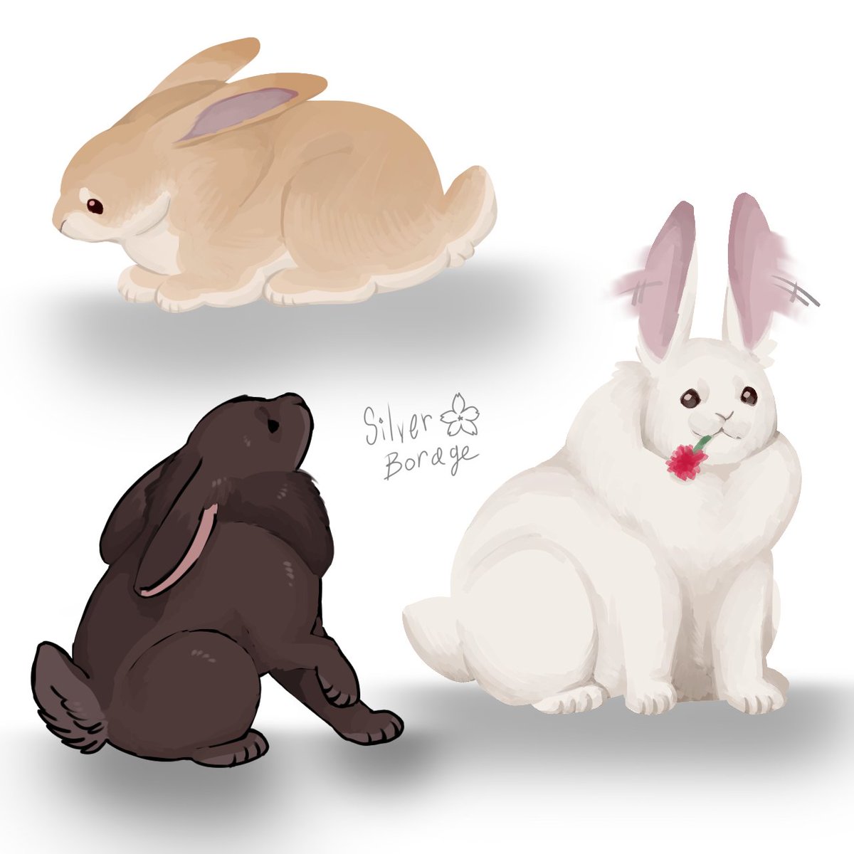 silver_borage's tweet photo. Bunnies!

#digitalart #bunny https://t.co/ApJ2Cr91NE