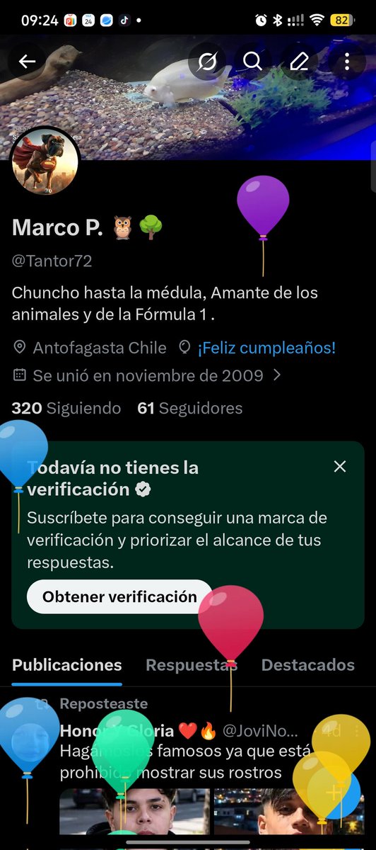 Tantor72's tweet photo. Hoy amanecí con globos, Feliz cumpleaños para mí. https://t.co/1Q9Yk4y2wz