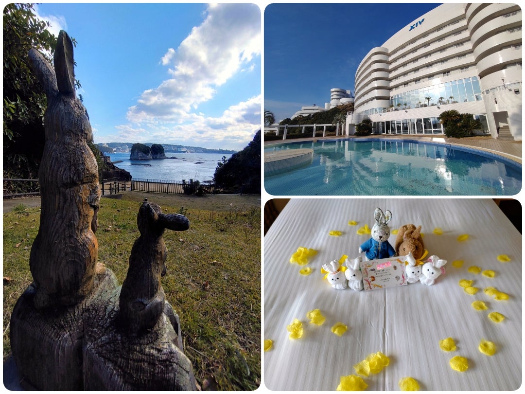 pyonpyonpyonta5's tweet photo. 6月最終日ということで
半年間の旅行、ホテルステイ振り返り
🐰🐰🐰
1月お正月
エクシブ白浜アネックスステイ
番所山公園
2月
ハウステンボスホテルアムステルダムステイ
ハウステンボスのミッフィー
ガーデンテラス長崎ホテル＆リゾートステイ
長崎ランタンフェスティバル
🐇🐇🐇 https://t.co/3eWr8fjeYB