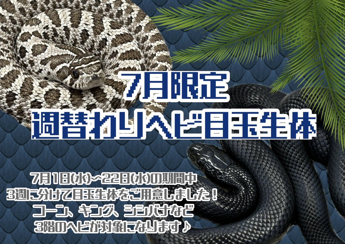 へびのめ へびのめ