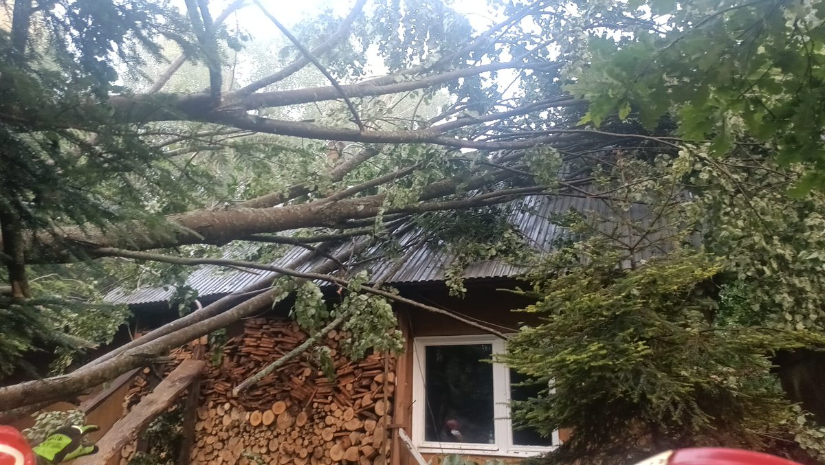 kmkielce's tweet photo. ⛈️🚒 Gwałtowna burza nad gminą Daleszyce!
🌳 30+ powalonych drzew
🏠 5 uszkodzonych dachów
🌲 3 sosny uszkodziły leśniczówkę
👨‍🚒 Do działań: 14 zastępów, 67 ratowników PSP i OSP.
https://t.co/NSqxSqpaej
@KGPSP @kw_psp_kielce https://t.co/ak576KROCu