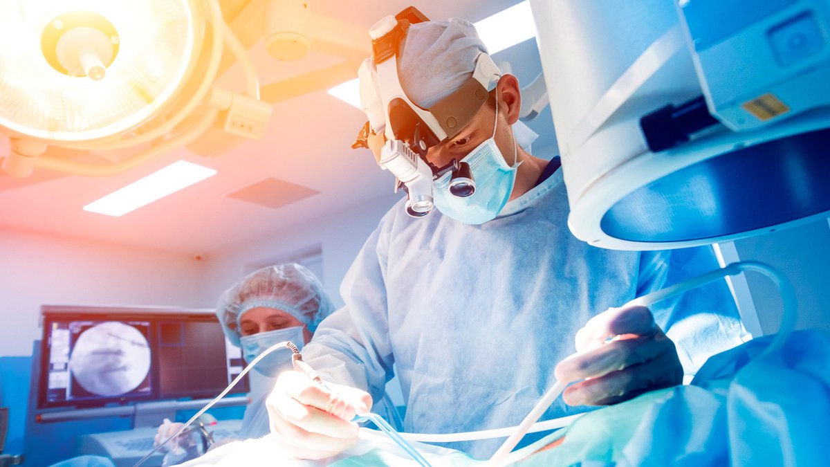 eccElearning's tweet photo. In spine surgery, technical skill makes you competent, but it's cellular-level understanding that makes you irreplaceable.

Gain a theoretical foundation that is deep enough to formulate a truly  effective treatment plan.

Learn More Spine Online: https://t.co/3T1woYULQT https://t.co/fcTx7Bd9s0