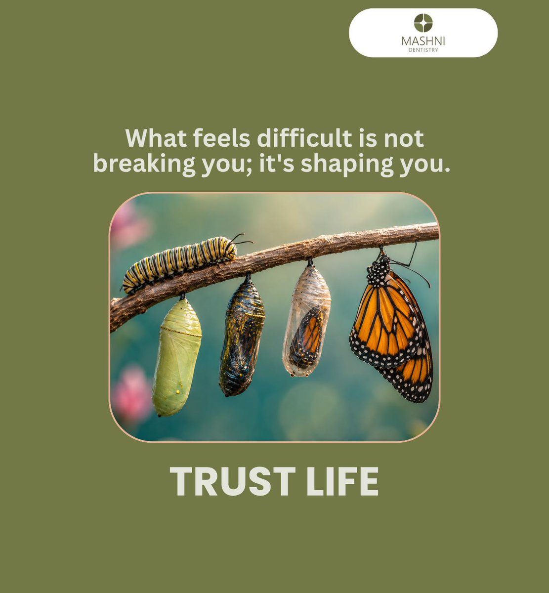 MashniDentistry's tweet photo. When life puts pressure on you, it isn't trying to break you; it's simply teaching you patience and asking you to look for the strength that already lies within you. https://t.co/f0EQFl2EMz
#trusttheprocess #trustlife #embraceuncertainty #MashniDentistry #Lansing #EastLansing https://t.co/mnCFsyGuhP