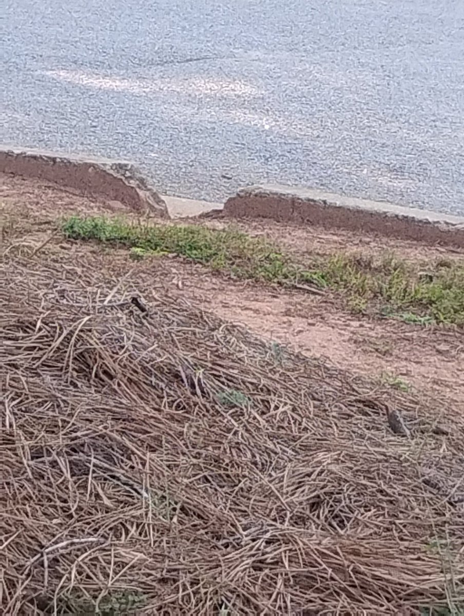 BrianGay13845's tweet photo. @wsbtv More lawsuits 275 thou wow on each  construction defaults breach of contract product liability firm's help dis broke spade out @KennethNugent @AnthonyMKreis @Michealvenatti @bobbarr @McdonoughLawyer previous post space limited Mr Abbott @dcs_dwayne @McdonoughSawyer @McDonoughLaw https://t.co/XfBXY5e5Hg