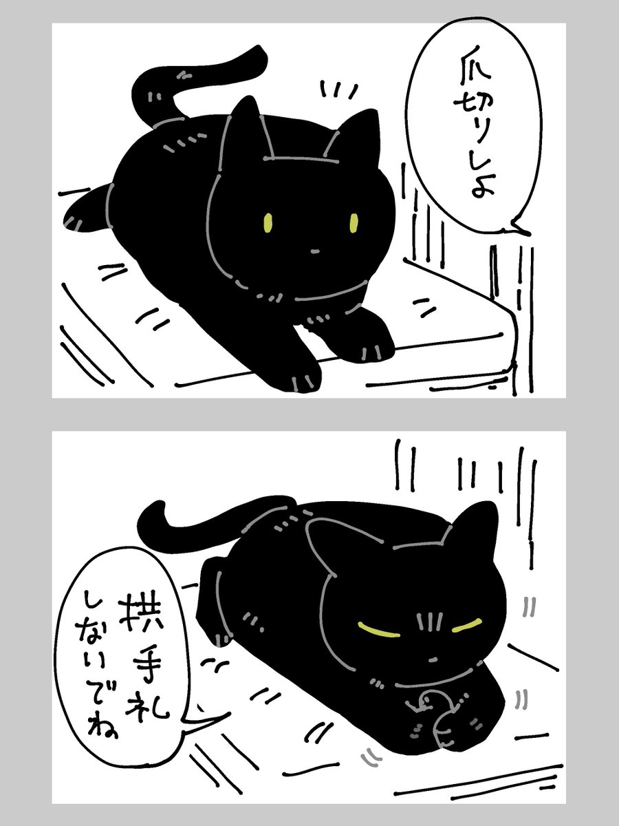 bou128's tweet photo. 日記です　毎回これになってる https://t.co/sWihkZf3AK